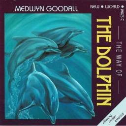 Medwyn Goodall - The Way Of...