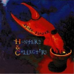 Hunters & Collectors -...