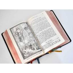 Misal Completo para los Fieles - Vicente Molina