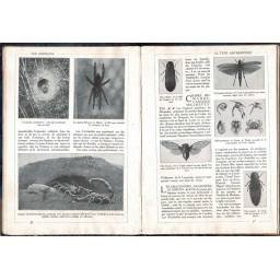 Encyclopédie par l'Image. Les Animaux