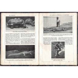 Encyclopédie par l'Image. Les Animaux