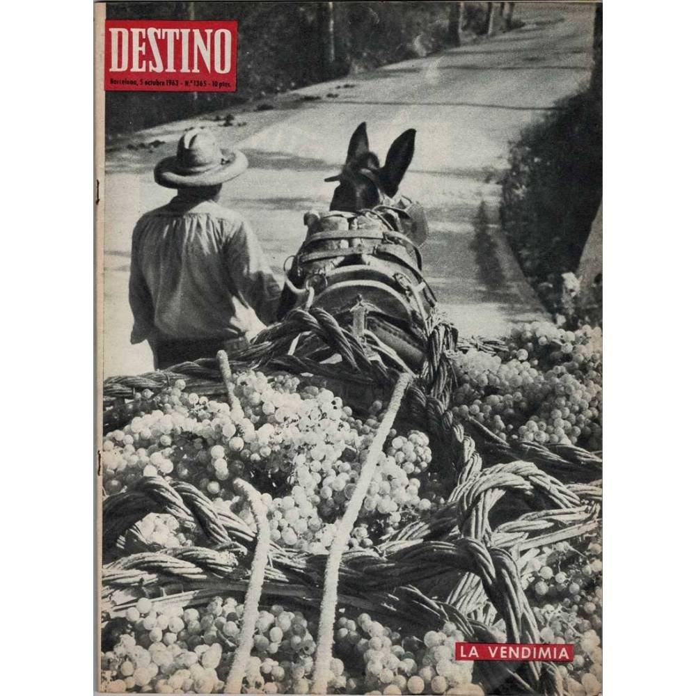Revista Destino No. 1365. 5 octubre 1963. La vendimia