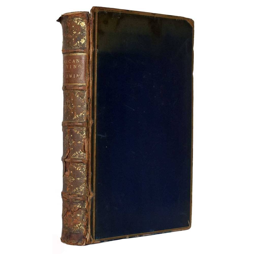 African Hunting and Adventure from Natal to the Zambesi - William Charles Baldwin