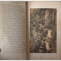 African Hunting and Adventure from Natal to the Zambesi - William Charles Baldwin