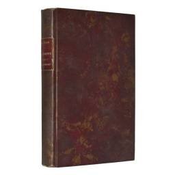 La Lumière vient de...