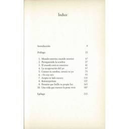 Los buscadores de Luz - Debbie Ford