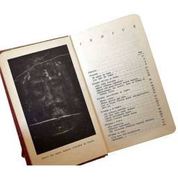 Sus miradas. Elevaciones en torno del Evangelio