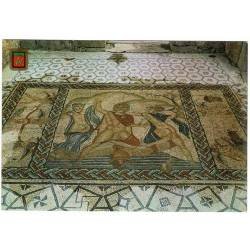 Postal Marruecos. Volubilis. Mosaicos de la Casa de Venus No. 9