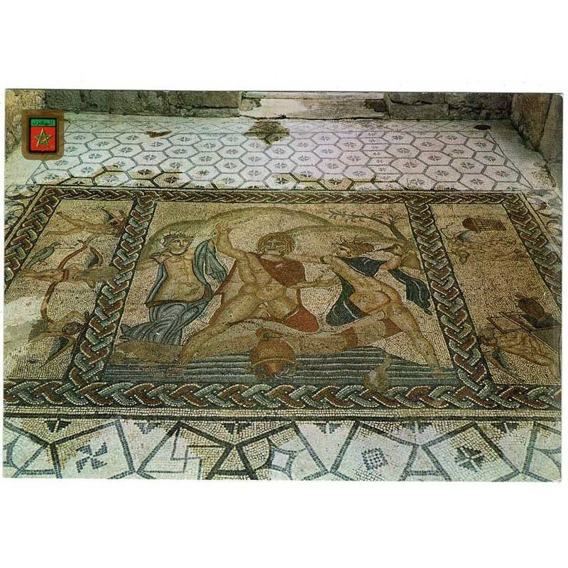 Postal Marruecos. Volubilis. Mosaicos de la Casa de Venus No. 9